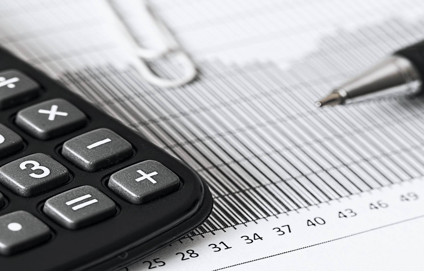 세무기장 서비스